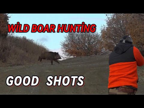 ÇORUMDA GÜZEL AV / WİLD BOAR HUNTİNG