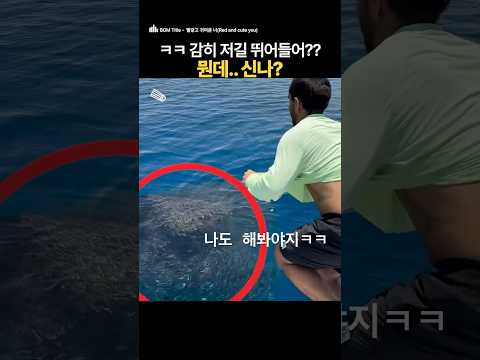 여행가면 꼭 저런 친구 있지 ㅋㅋ 근데 느낌 신기하긴 할듯.. #여행 #바다 #낚시 #친구 #물고기
