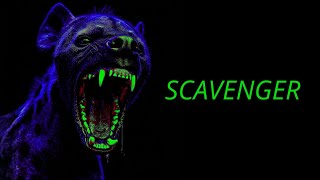 IVANCIITOH – TE VENDEN BARATO | SCAVENGER