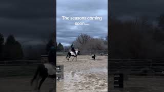 Soon…. #sweetbean4aa #fypシ #barrelracing #horse