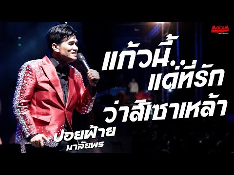 แก้วนี้แด่ที่รัก - ว่าสิเซาเหล้า - กระเทยประท้วง //แสดงสด// ปอยฝ้าย มาลัยพร