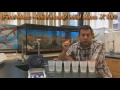 Determining Molarity in Osmosis Experiments