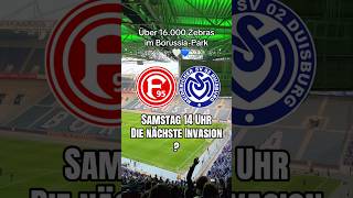 Merkur Spiel-Arena - WIR KOMMEN! 🤩🦓🤍💙 #msv #msvduisburg #derby #viral