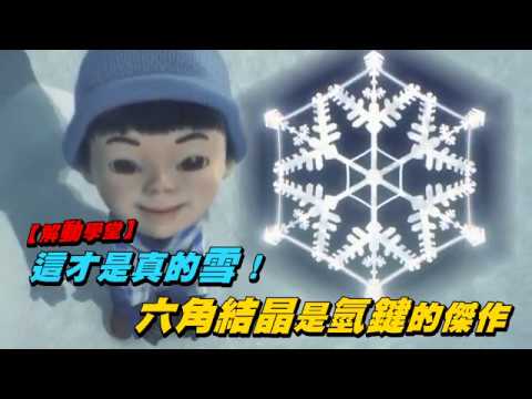 這才是真的雪！　六角結晶是氫鍵的傑作  | 動知識 | 台灣蘋果日報 - YouTube(2:06)