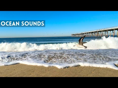 Ocean Sounds for Deep Sleep & Relaxation | Soothing Nature Sounds (Ocean Waves)