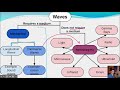 Exploring Electromagnetic Waves