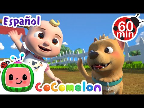 Bingo y JJ visitan la granja🐶| Canciones Infantiles🎵| Juega y aprende| Moonbug Español | Cocomelon