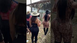 Conociendo a un lindo animalito #viralvideo