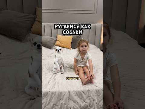 Заводить кота или нет? #дочка #папа #семейныйюмор