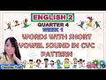 CVC Pattern Words and Sounds