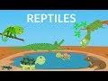 Reptile Characteristics and Adaptations