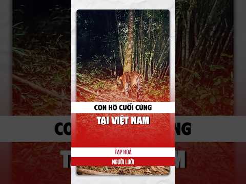 Con Hổ cuối cùng tại Việt Nam