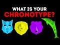 Understanding Sleep Chronotypes and Patterns