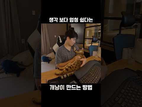 7년동안 고양이를 강아지처럼 키웠더니..?!ㅋㅋ