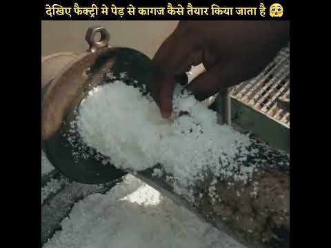 बाप रे इतने मेहनत बाद फैक्ट्री में पेड़ से कागज तैयार किया जाता है #shorts #viralvideo #facts