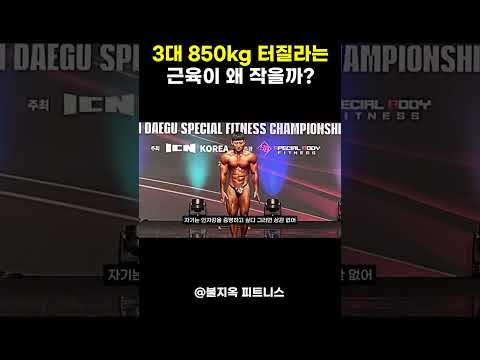 3대 850kg 내추럴 터질라는 사이즈가 왜 작을까? (feat. 설기관)