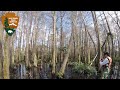 Everglades Conservation and Research Insights