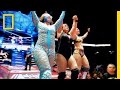 Quiz sobre Lucha Libre y Vida Personal
