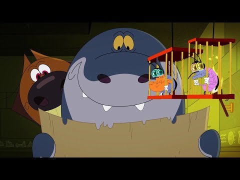 Zig & Sharko - Oggy et les cafards 🧭 La carte 🧭 Episodes complets en HD