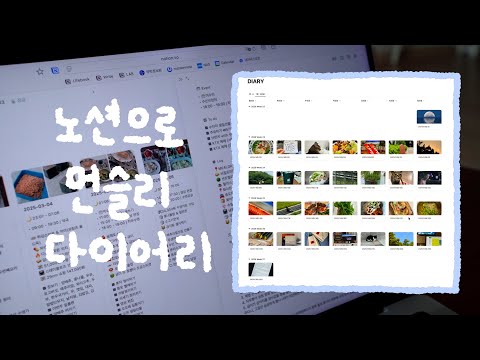 노션으로 먼슬리 다이어리 쓰는 법