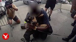 Moment stolen dog is reunited with owner after subway theft