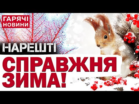 УКРАЇНУ ЗАСИПЛЕ СНІГОМ! Прогноз погоди шокує!