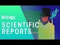 Understanding the Scientific Method