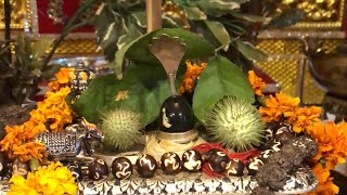 श्रावण मास विशेष द्रव्य रुद्राभिषके | Astro Trisha | Live