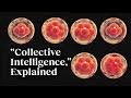 Understanding Intelligence and Developmental Biology