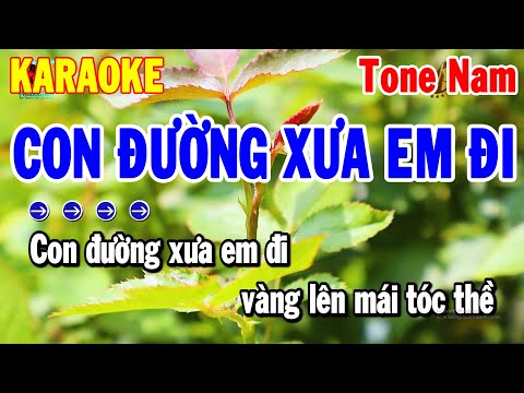 Karaoke Con Đường Xưa Em Đi Tone Nam Nhạc Sống Dễ Hát Nhất 2024 | Thanh Hải