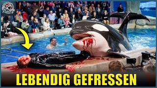 Die SCHRECKLICHEN Gefahren der Arbeit mit Raubtieren in Gefangenschaft | Hai Attacke