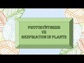 Photosynthesis and Respiration Concepts