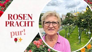 Ein Paradies für Blumenfreunde🌹Rosenpracht im Volksgarten Wien