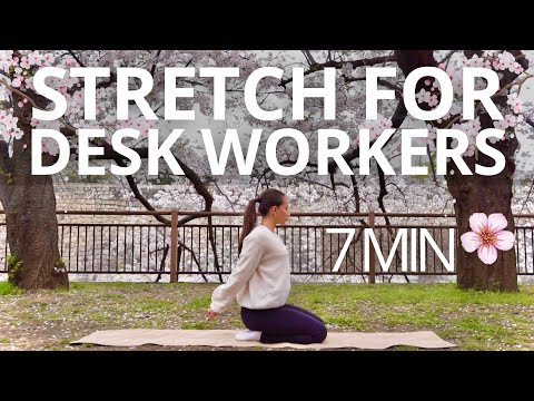 Perfect Stretch for Busy Desk Workers Under Blooming Cherry Blossoms