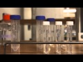 DNA Sequencing and Conservation Concepts