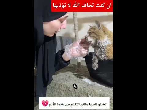 الرأفة بالحيوانات انها روح تتألم #اكسبلور #مشاهير مشاهي#متابعه #لايك #تصميمي #ترند #صلوا_على_النبي