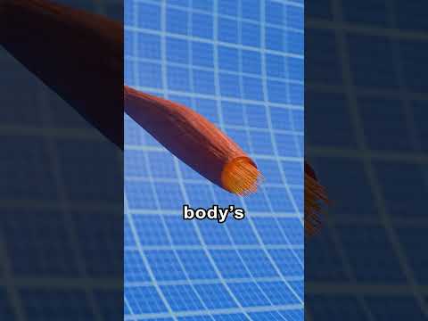 How Steroids Work 😱