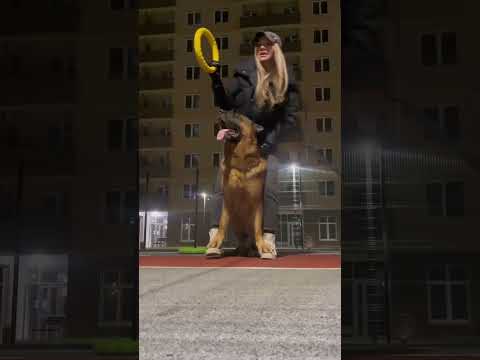 Кавер на «Смуглянку» от Бэхи под Смуглянку 💃🎧🐕Бэха старался ! Лайк с вас !❤️