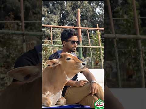 āĻāϰā§āĻā§ āĻāĻŋāĻā§āĻāĻžāϏāĻž āĻāϰāϞāĻžāĻŽ āĻāĻžāĻā§ āĻā§āĻ āĻĻāĻŋāĻŦ? đ¤Ŗ āĻāϰā§āϰ āĻāϤā§āϤāϰ āĻļā§āύ⧠āĻŽāĻžāĻĨāĻž āύāώā§āĻ! đâī¸