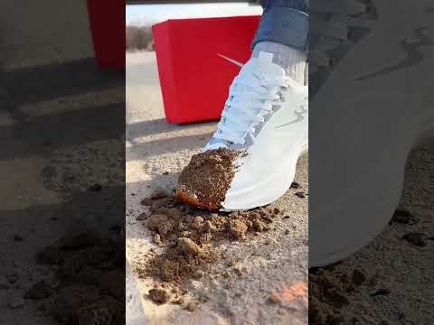 real or fake shoe #shortsvishoe