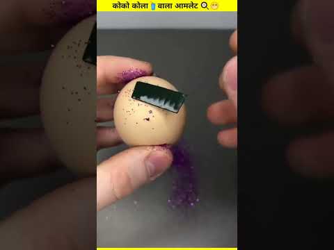 Egg🥚 Experiment and Life Hacks🤯 ~ it's Possible🤔