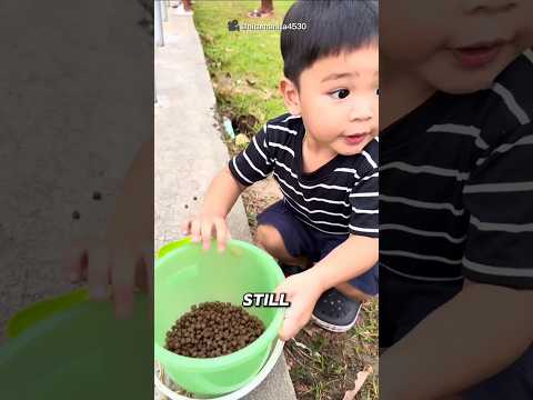 He Fed All the Fish at Once 😂🐟
