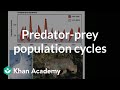 Predator-Prey Interactions in Ecosystems