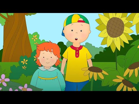 Kajtuś odwiedza Ogród Botaniczny | Kajtuś po Polsku [Caillou] - WildBrain