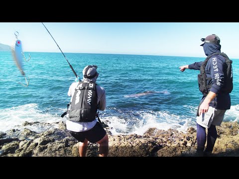 I Dropped my Lure right on top of it!
