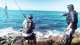 I Dropped my Lure right on top of it!
