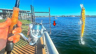 Fishing these Alabama Seawalls, Boat Ramps, and Beaches for Multiple Species!