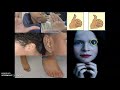 Genetics Vocabulary Challenge