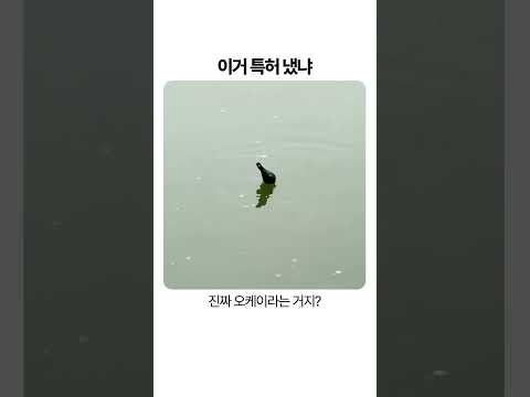 이거 특허 냈냐 장갑 찌로 물고기 잡는 법