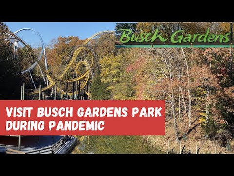 Busch Gardens Williamsburg During the Pandemic season